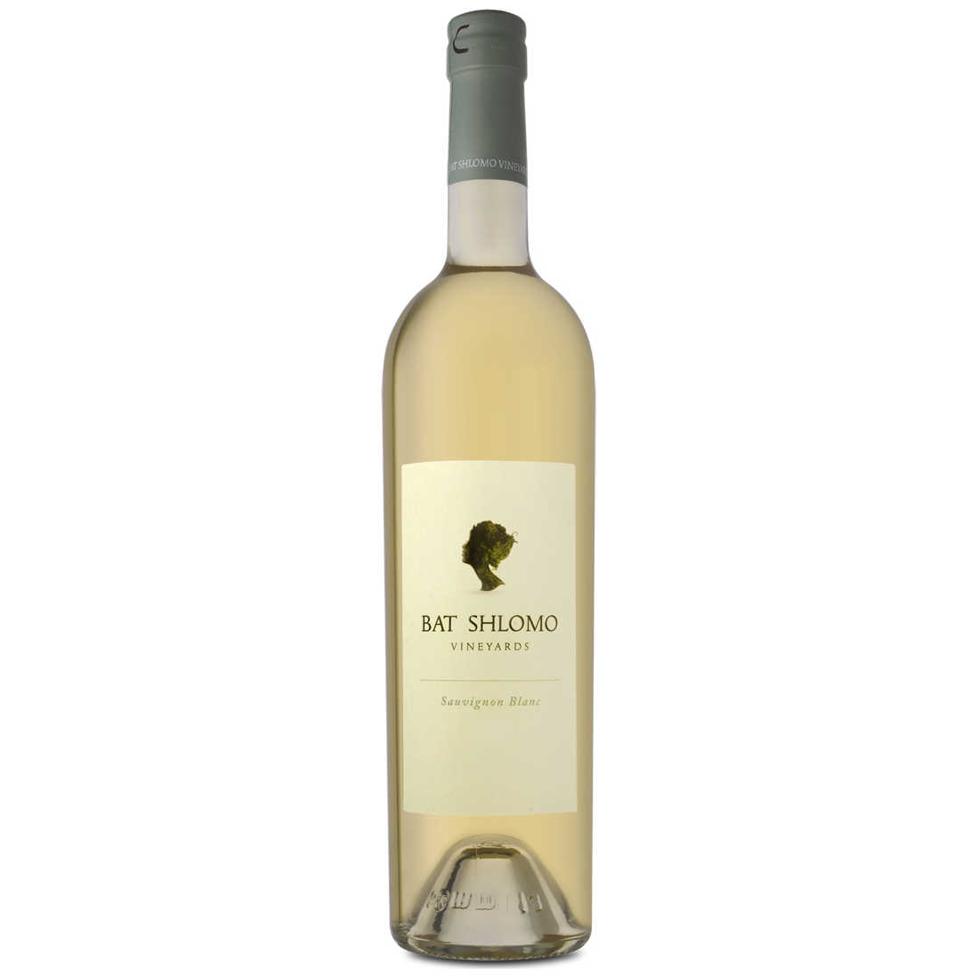 Bat Shlomo Sauvignon Blanc 2024