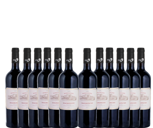 Case of 12 Villa Mangiacane Magnificus Toscana 2022