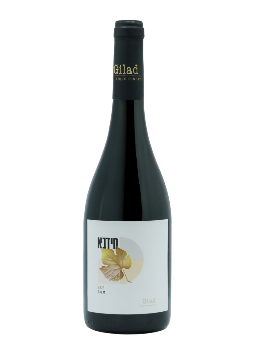 Gilad Midba GSM 2023