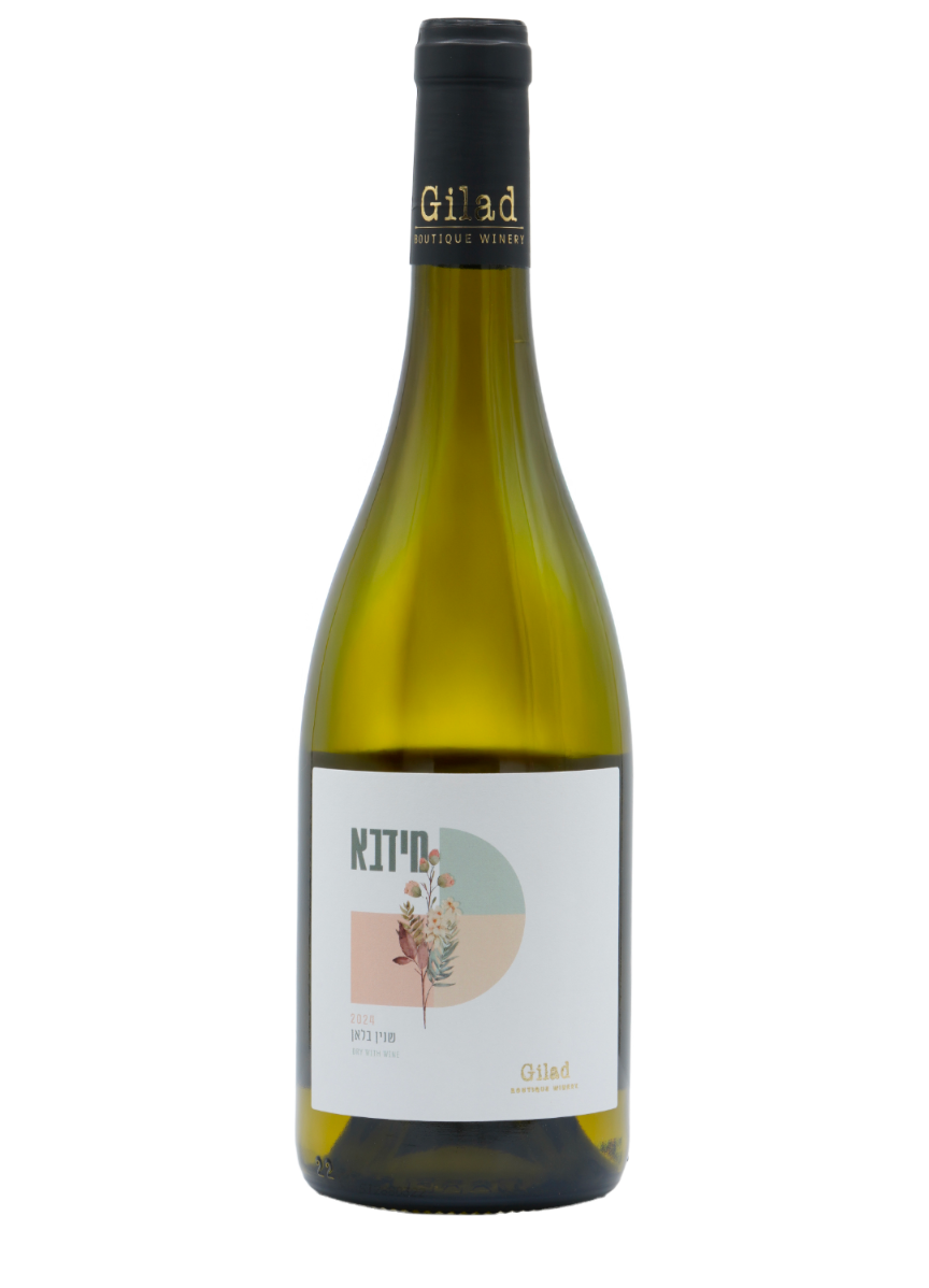 Gilad Midba Chenin Blanc 2024