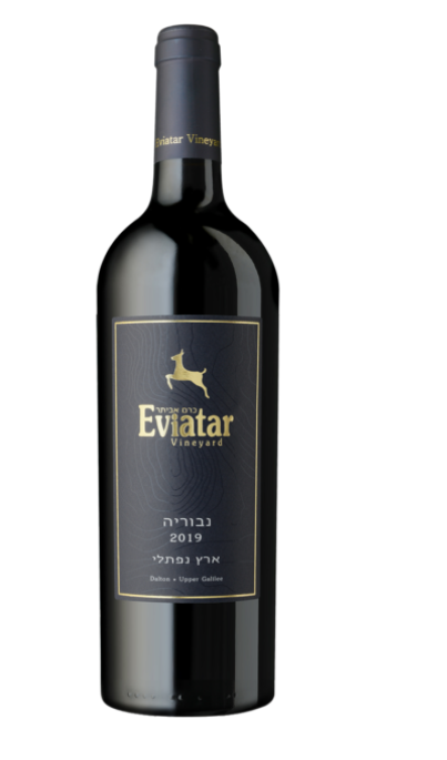 Eviatar Naburia 2021