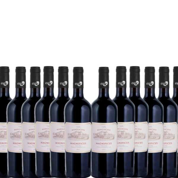 Case of 12 Villa Mangiacane Magnificus Toscana 2022