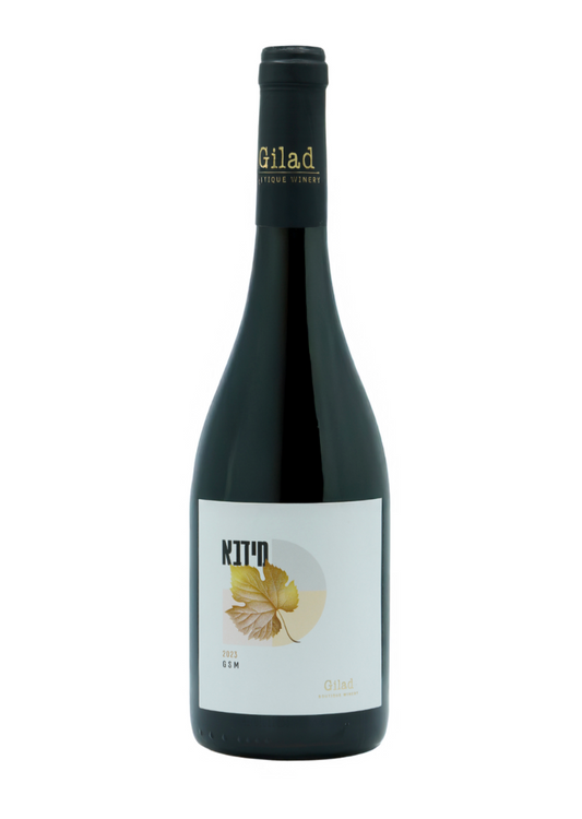 Gilad Midba GSM 2023