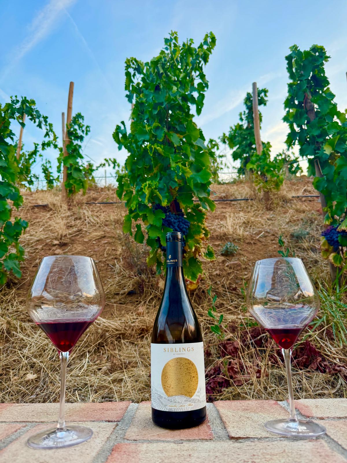 Wine dinner with David Cohen Elvi Clos Mesora February 9