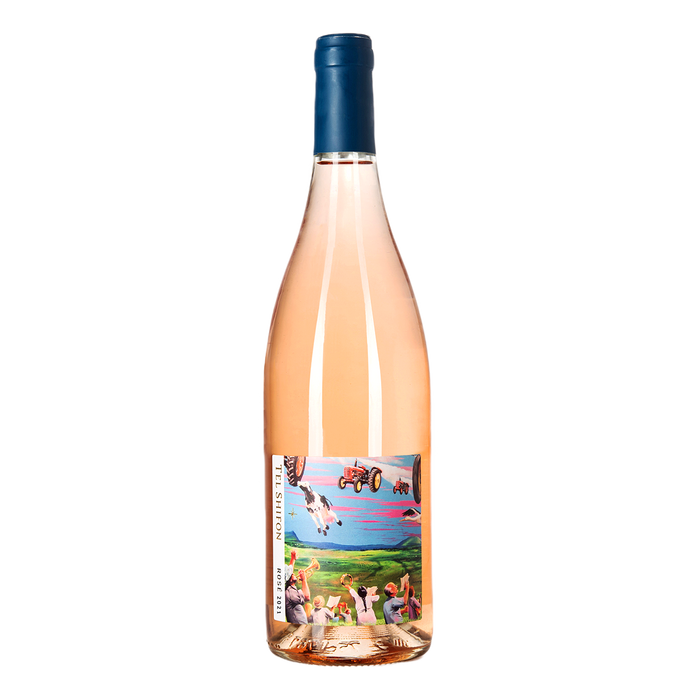 Tel Shifon Rose 2024