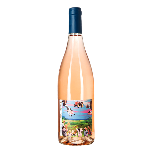 Tel Shifon Rose 2024