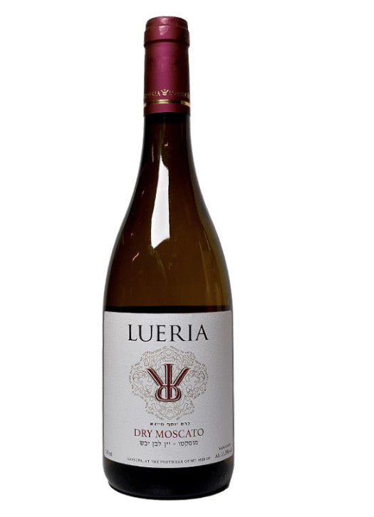 Lueria Muscat canelli 2023