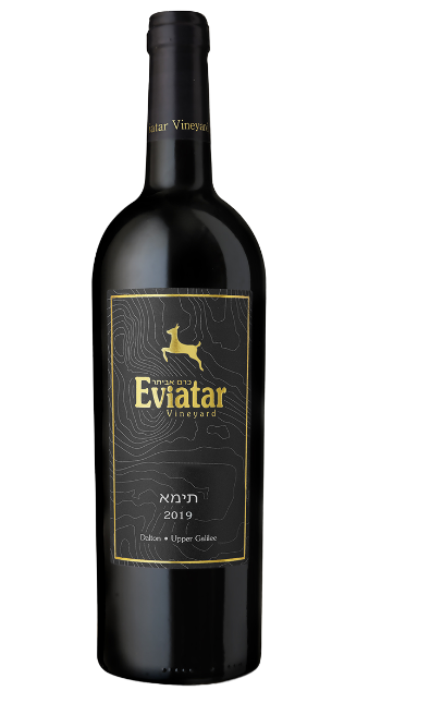 Eviatar Teima 2021
